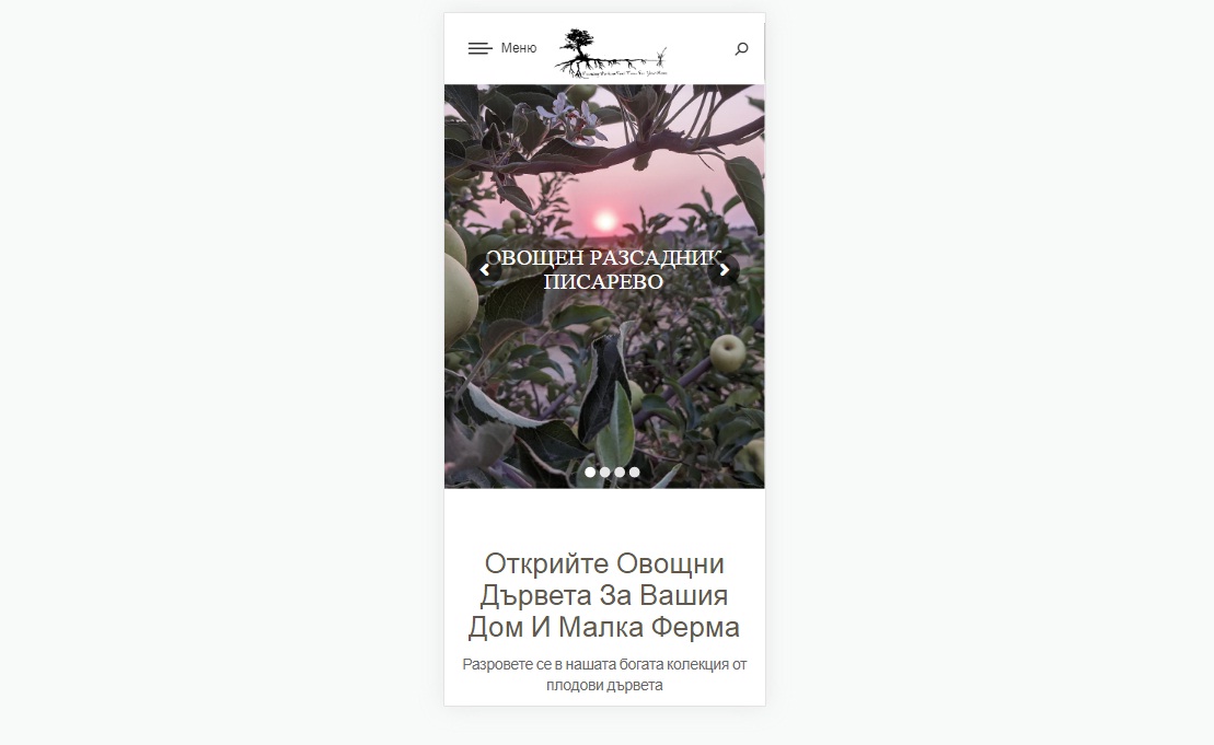 Лицензиран овощен разсадник – Изработка на сайт Варна