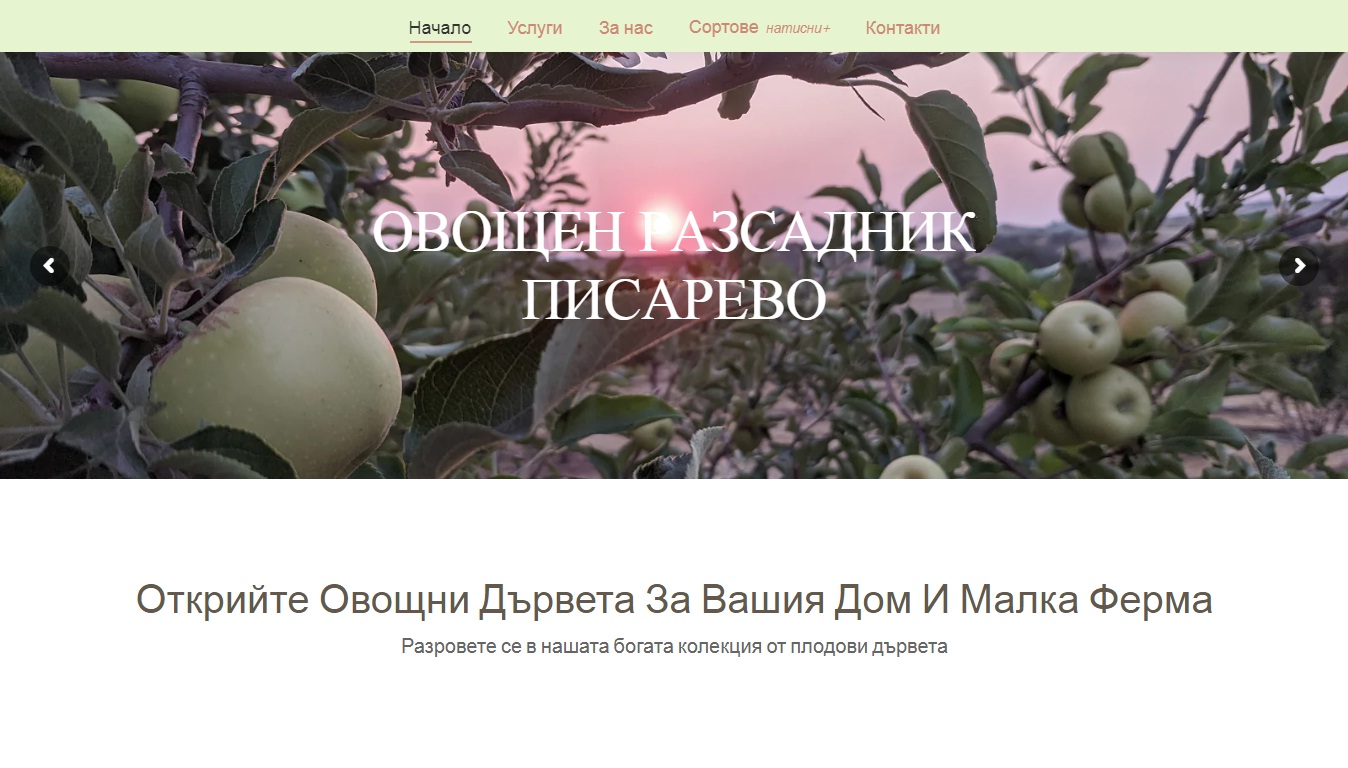 Разсадник за овощни дръвчета – Изработка на сайт Варна