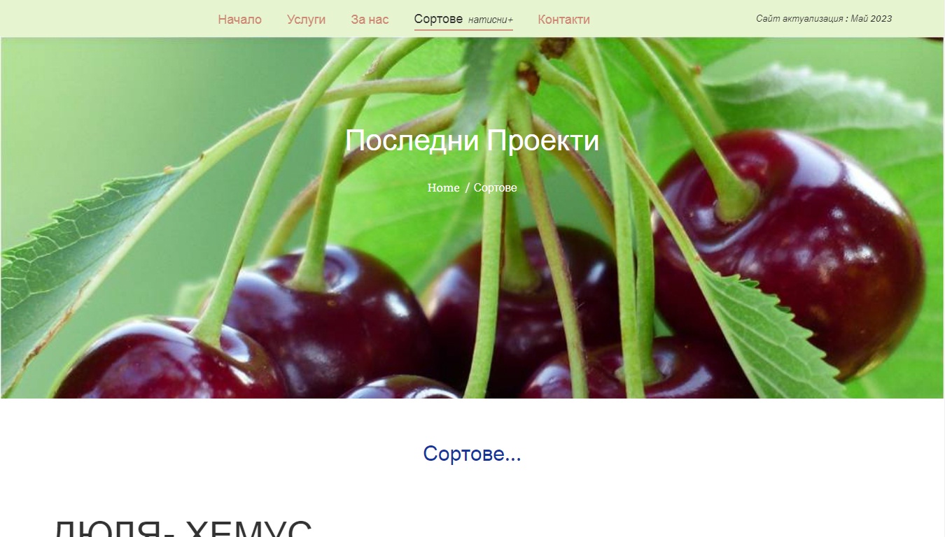 Овощен разсадник – карловска афъзка – Изработка на сайт Пловдив
