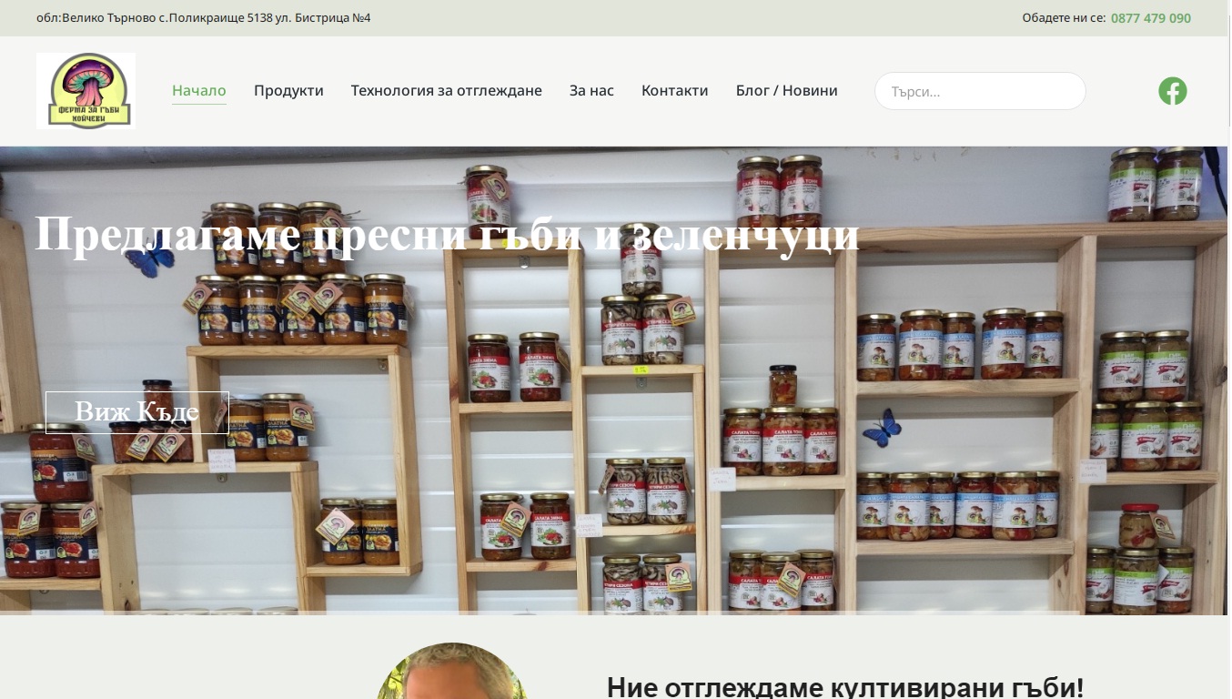 Ферма за гъби – агенция за дигитален маркетинг Нетвизиа