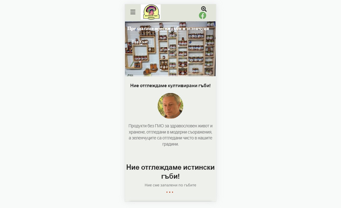 Мариновани гъби продукти сайт – Агенция за дигитален маркетинг Нетвизиа